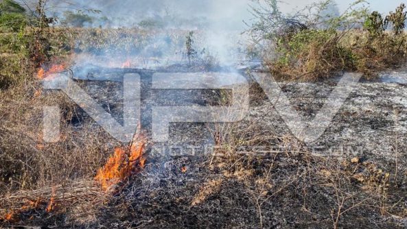 seguridad bahia 6838