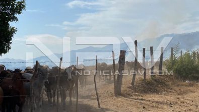 seguridad bahia 6843