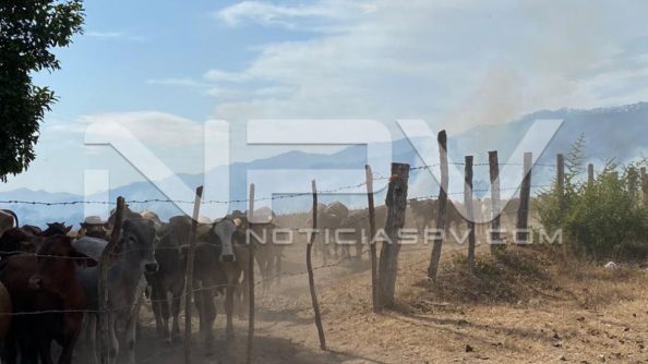 seguridad bahia 6843