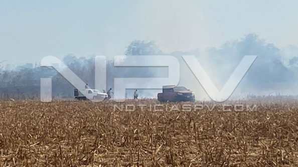 seguridad bahia 6844