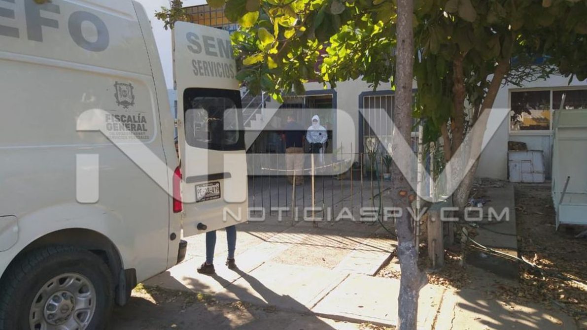 seguridad bahia 7054