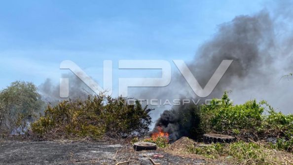 seguridad bahia 8036