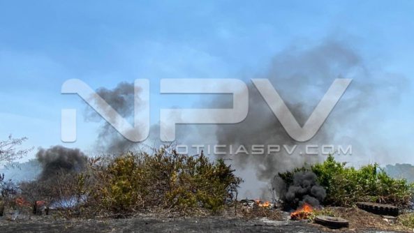 seguridad bahia 8038