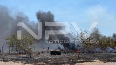 seguridad bahia 8041