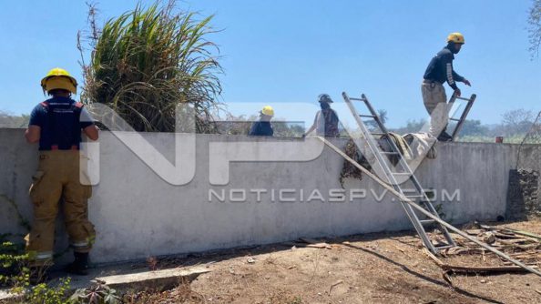 seguridad bahia 8169