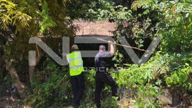 seguridad bahia 8894