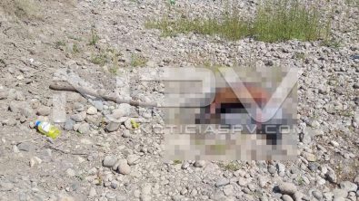 seguridad bahia 8985