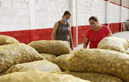 COMUNICADO 1499-DIF-Tercer donativo de papa (1)