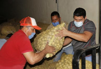 COMUNICADO 1499-DIF-Tercer donativo de papa (3)