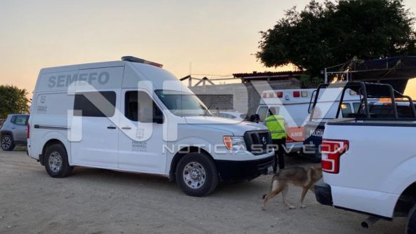 seguridad bahia 11093