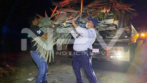 seguridad bahia 11113