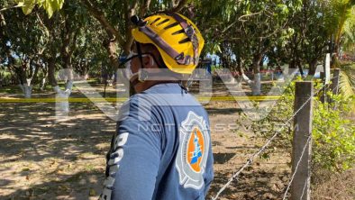 seguridad bahia 11318