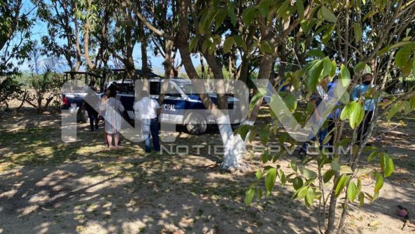 seguridad bahia 11320