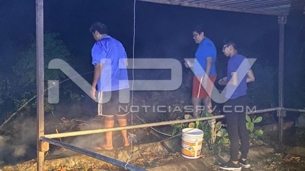 seguridad bahia 11483