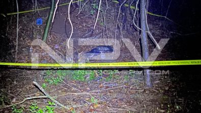 seguridad bahia 11905