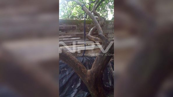 seguridad bahia 12083