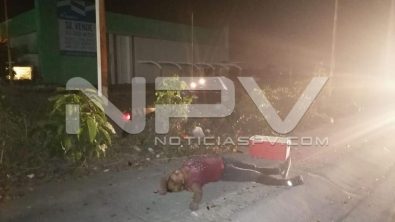 seguridad bahia 9347