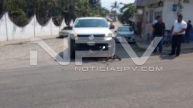 seguridad bahia 9515