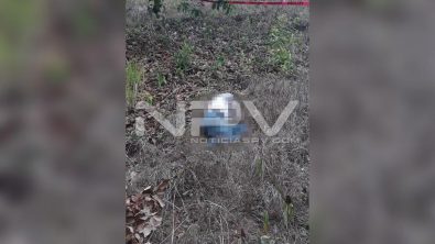 seguridad bahia 9540