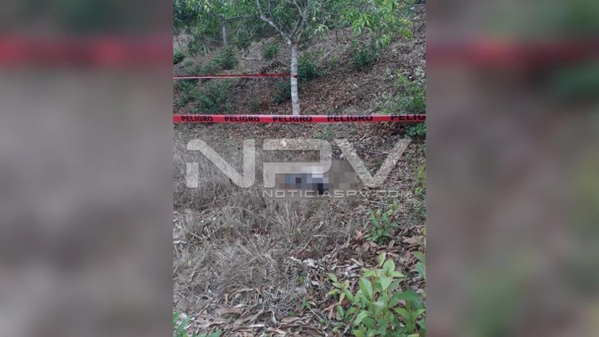 seguridad bahia 9541