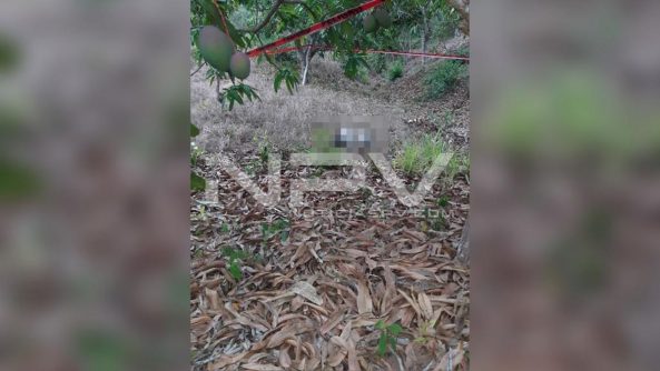 seguridad bahia 9543