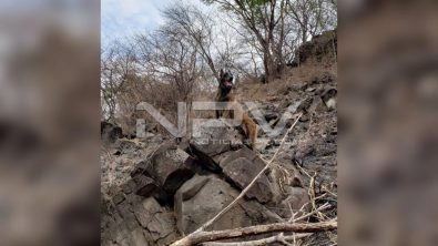 seguridad bahia 9570