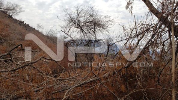 seguridad bahia 9573