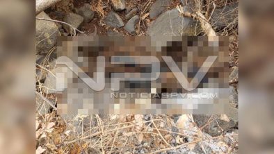 seguridad bahia 9575