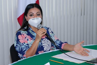 COMUNICADO 1559-Sesión comisión de Turismo-Proyecto Isla río Cuale (4)