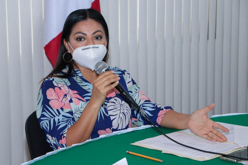 COMUNICADO 1559-Sesión comisión de Turismo-Proyecto Isla río Cuale (4)