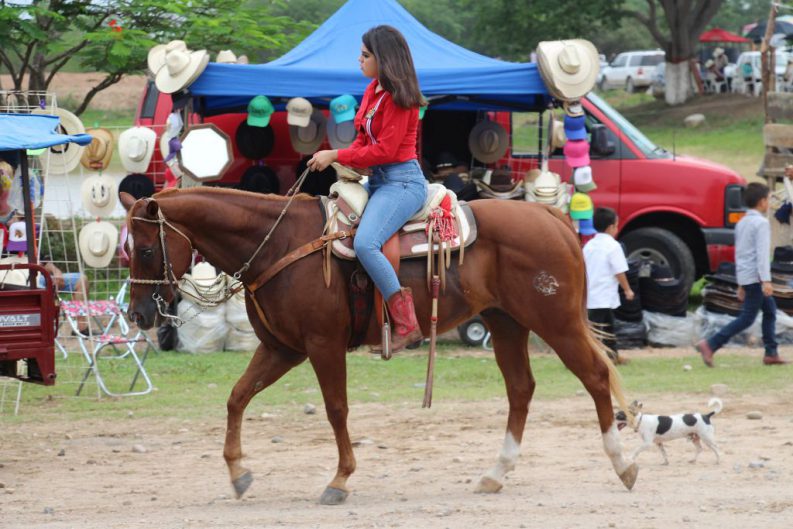 COMUNICADO 1589-Exhorto alcaldes-eventos masivos-fiestas patronales (6)