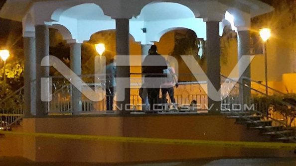 seguridad 13940
