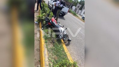 seguridad 15446