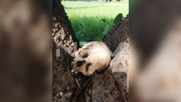 seguridad bahia 12684