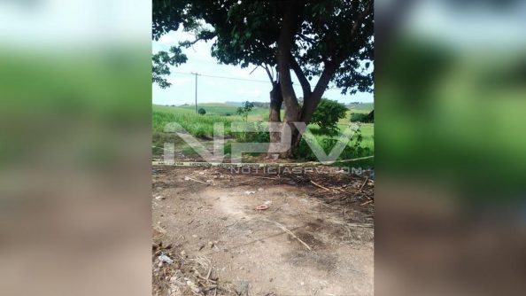 seguridad bahia 12685