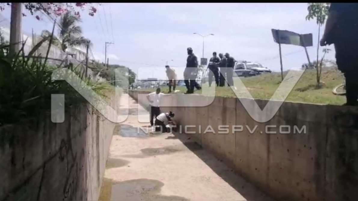 seguridad bahia 12859