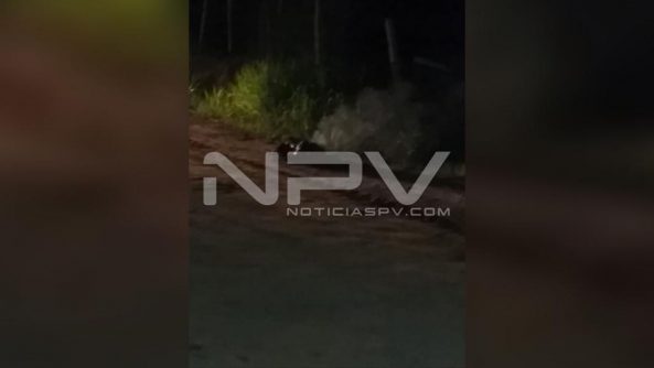 seguridad bahia 14967