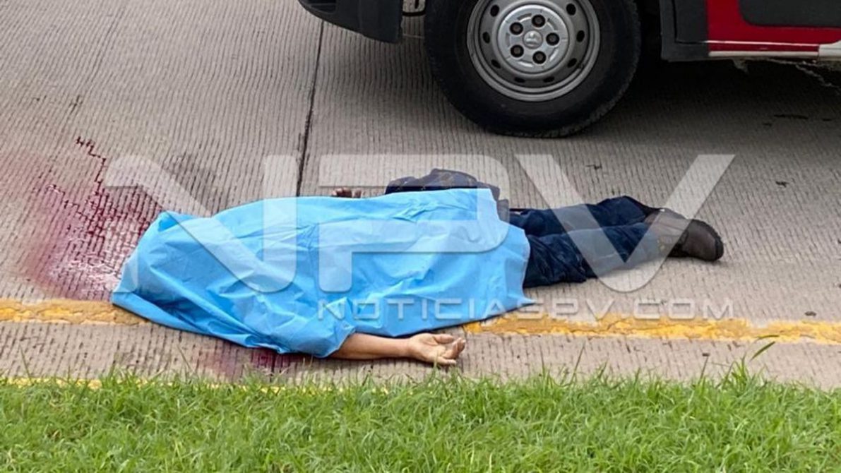 seguridad bahia 16790