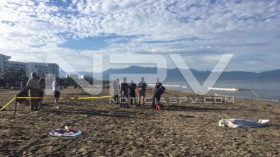 seguridad bahia 16960