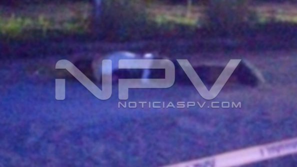 seguridad bahia 17023