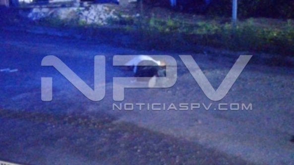 seguridad bahia 17031