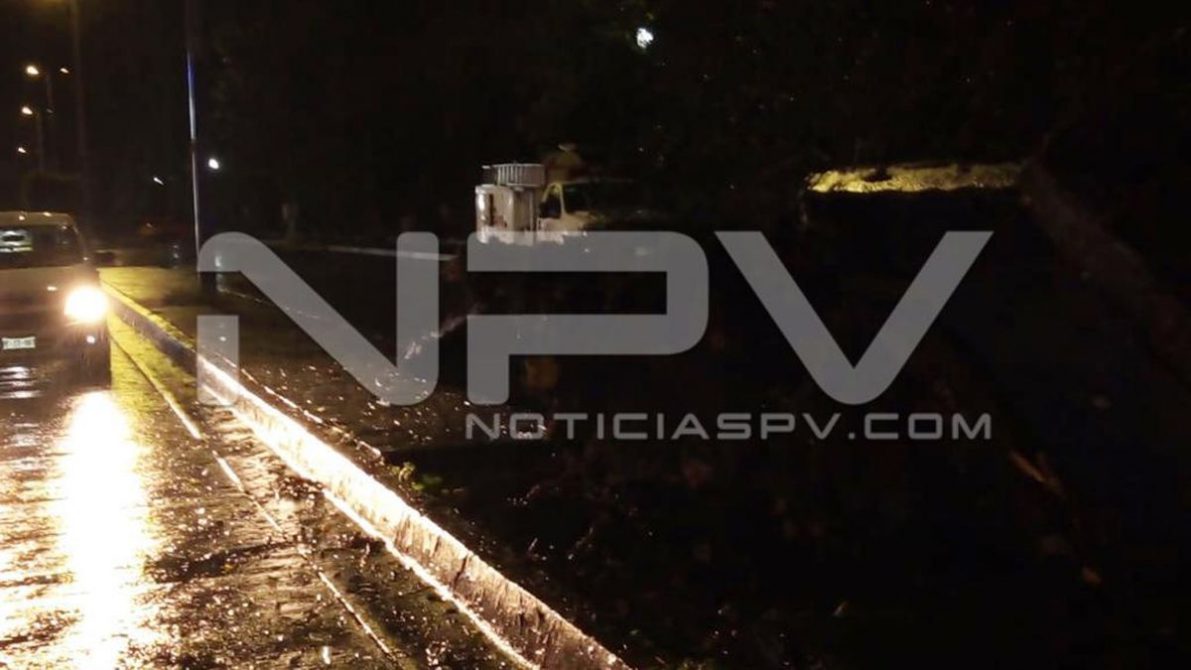 seguridad bahia 17329