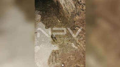 seguridad bahia 17339