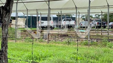 seguridad bahia 17470