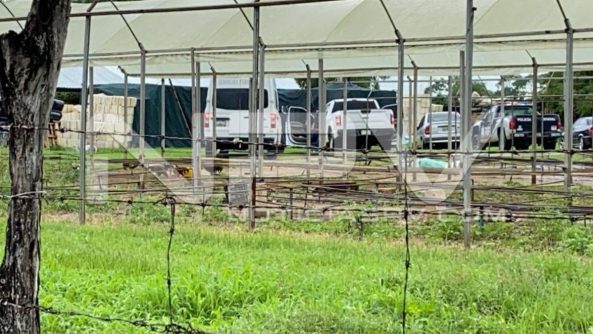 seguridad bahia 17470