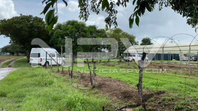 seguridad bahia 17476