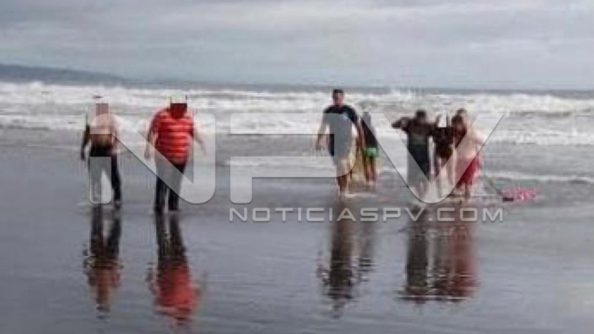 seguridad bahia 17540