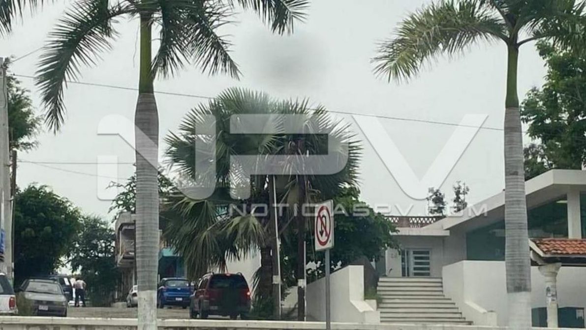 WhatsApp Image 2020-09-02 at 9.49.13 PM (1)