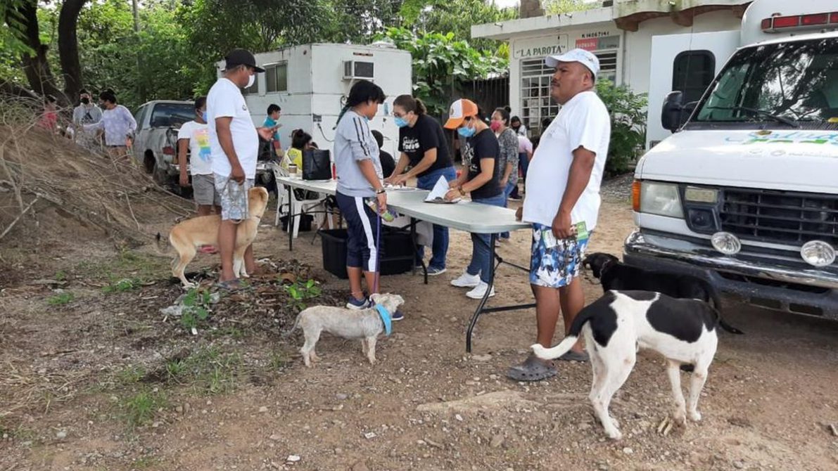 WhatsApp Image 2020-09-24 at 9.16.04 PM (4)