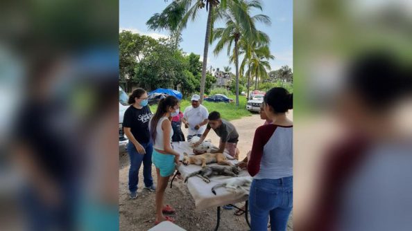 WhatsApp Image 2020-09-24 at 9.16.04 PM